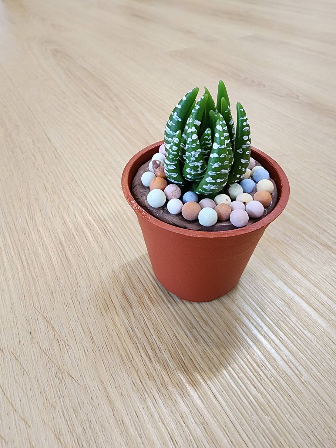桃子腳