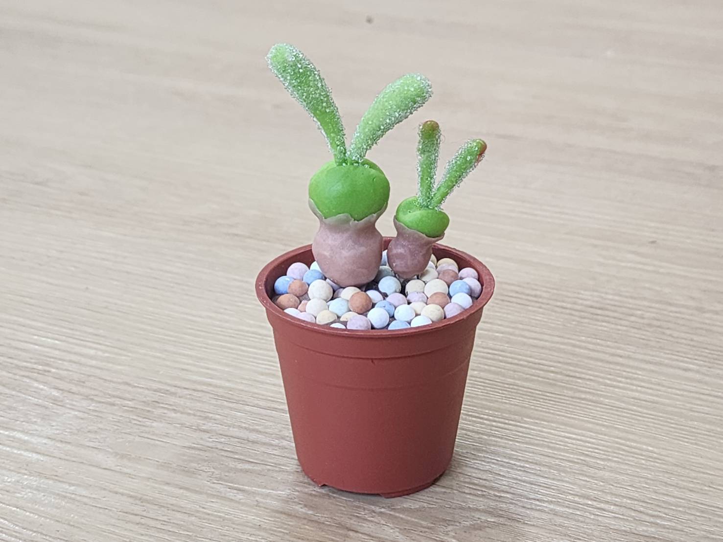 精緻黏土花藝