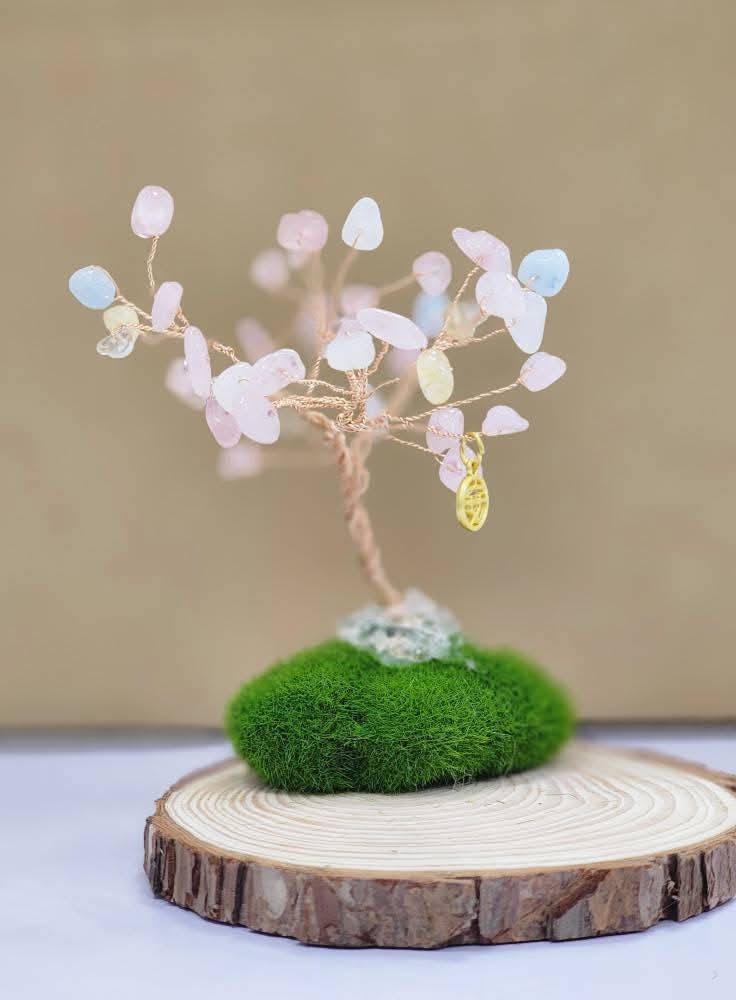 秀泰