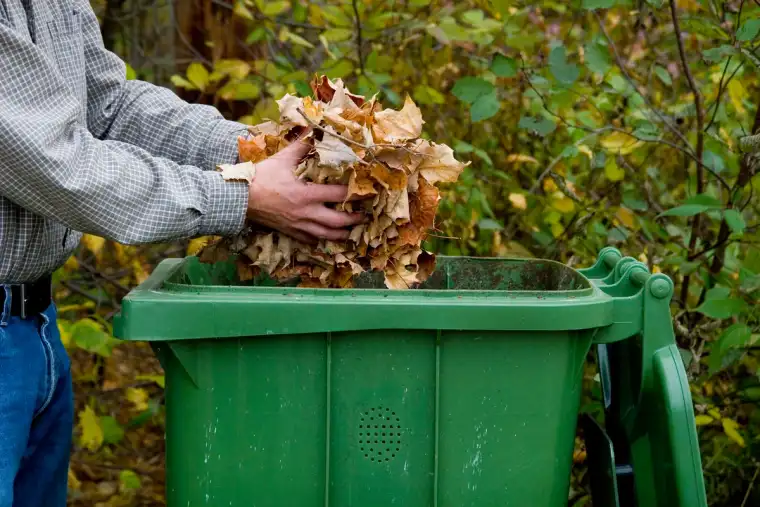 Man tossing leaves into a green receptacle outside
