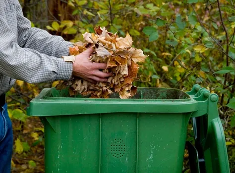 Man tossing leaves into a green receptacle outside