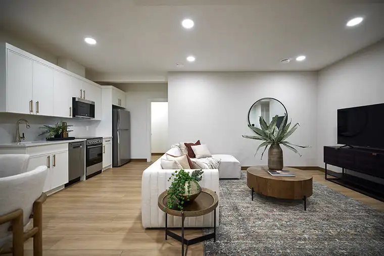 living room and kitchen area, showcasing contemporary decor and a seamless open floor plan.  