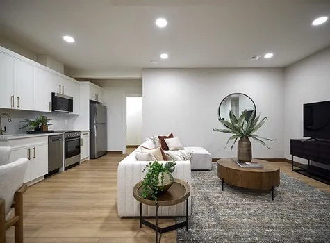 living room and kitchen area, showcasing contemporary decor and a seamless open floor plan.  