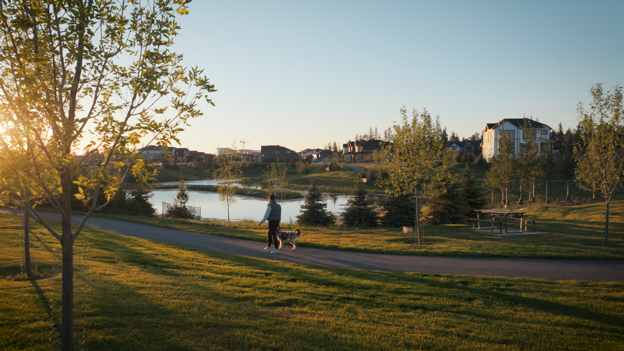 Person walking a dog along a pathway beside a pond in Shawnee Park, Calgary.