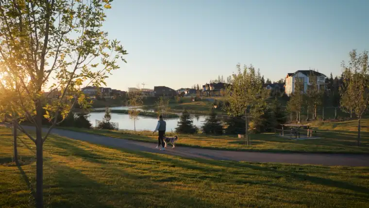 Person walking a dog along a pathway beside a pond in Shawnee Park, Calgary.