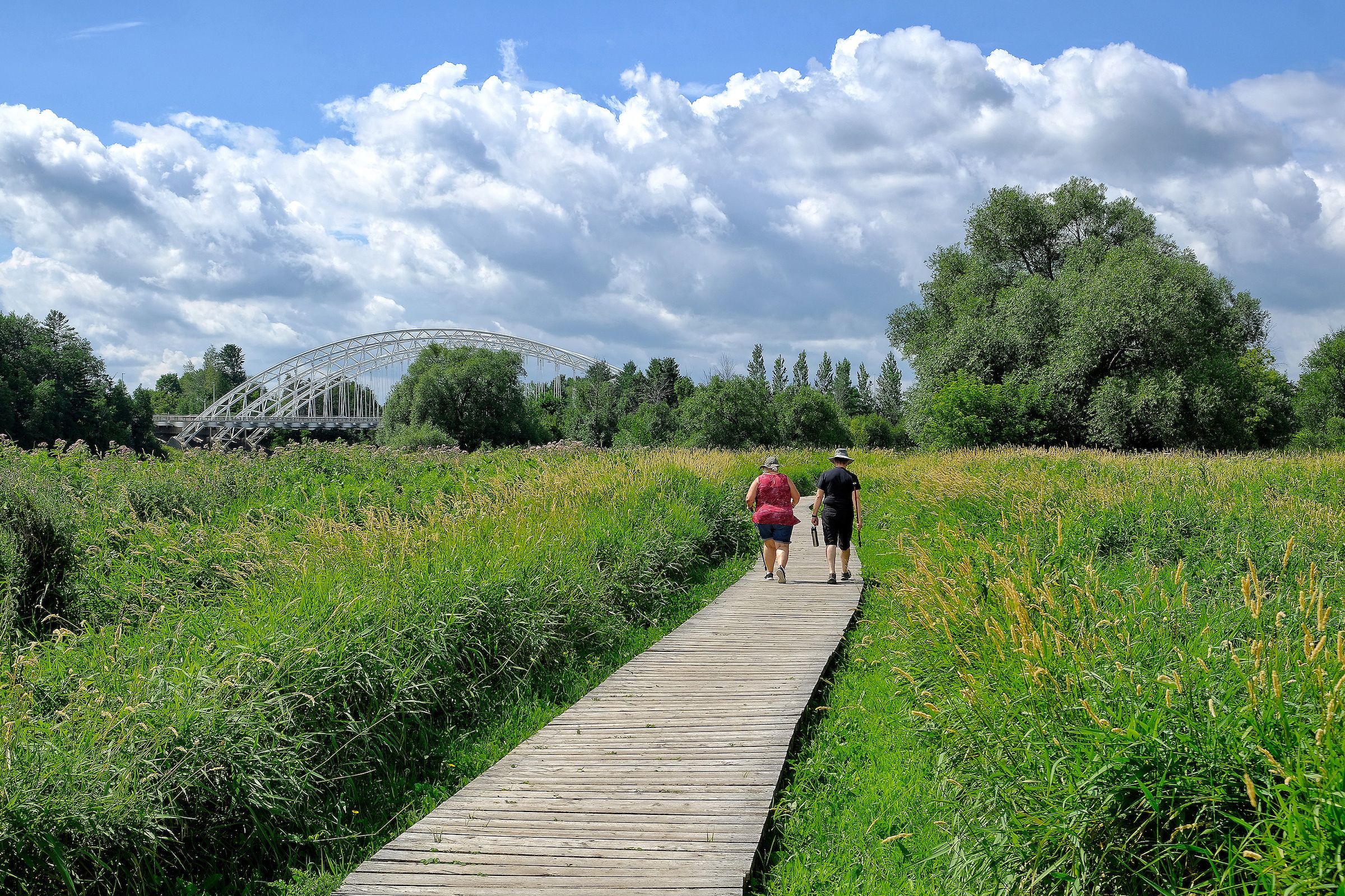 People walking along a boardwalk through green space near Ironwood in Riverside South, Ottawa