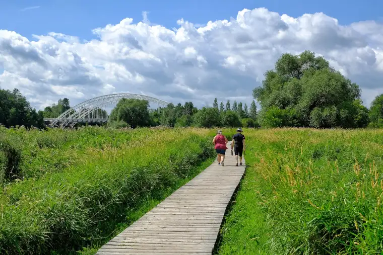 People walking along a boardwalk through green space near Ironwood in Riverside South, Ottawa