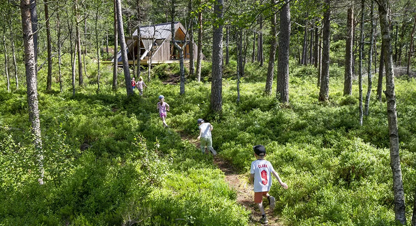 Bilde av barn som er på vei til dagsturhytte