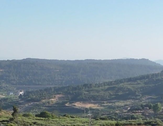 Alijó, Vila Real, Portugal