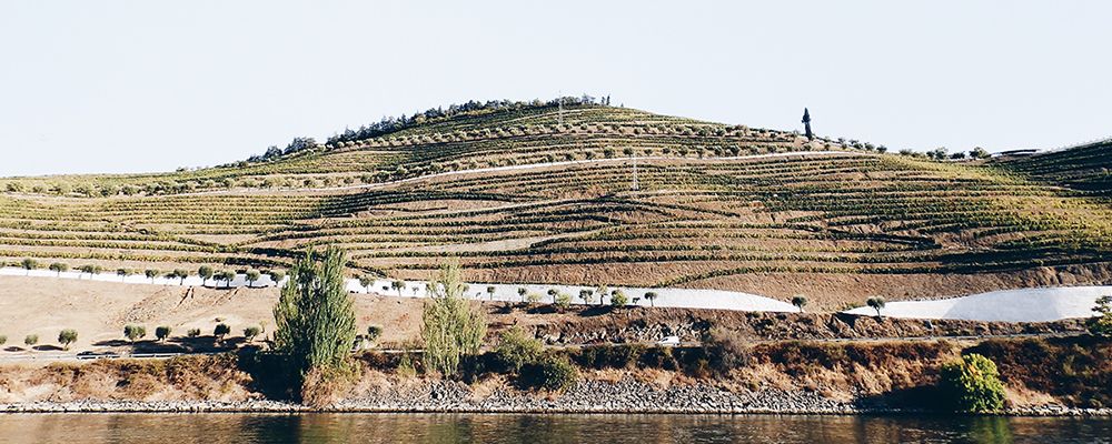 Alijó, Vila Real, Portugal