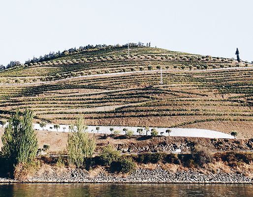 Alijó, Vila Real, Portugal