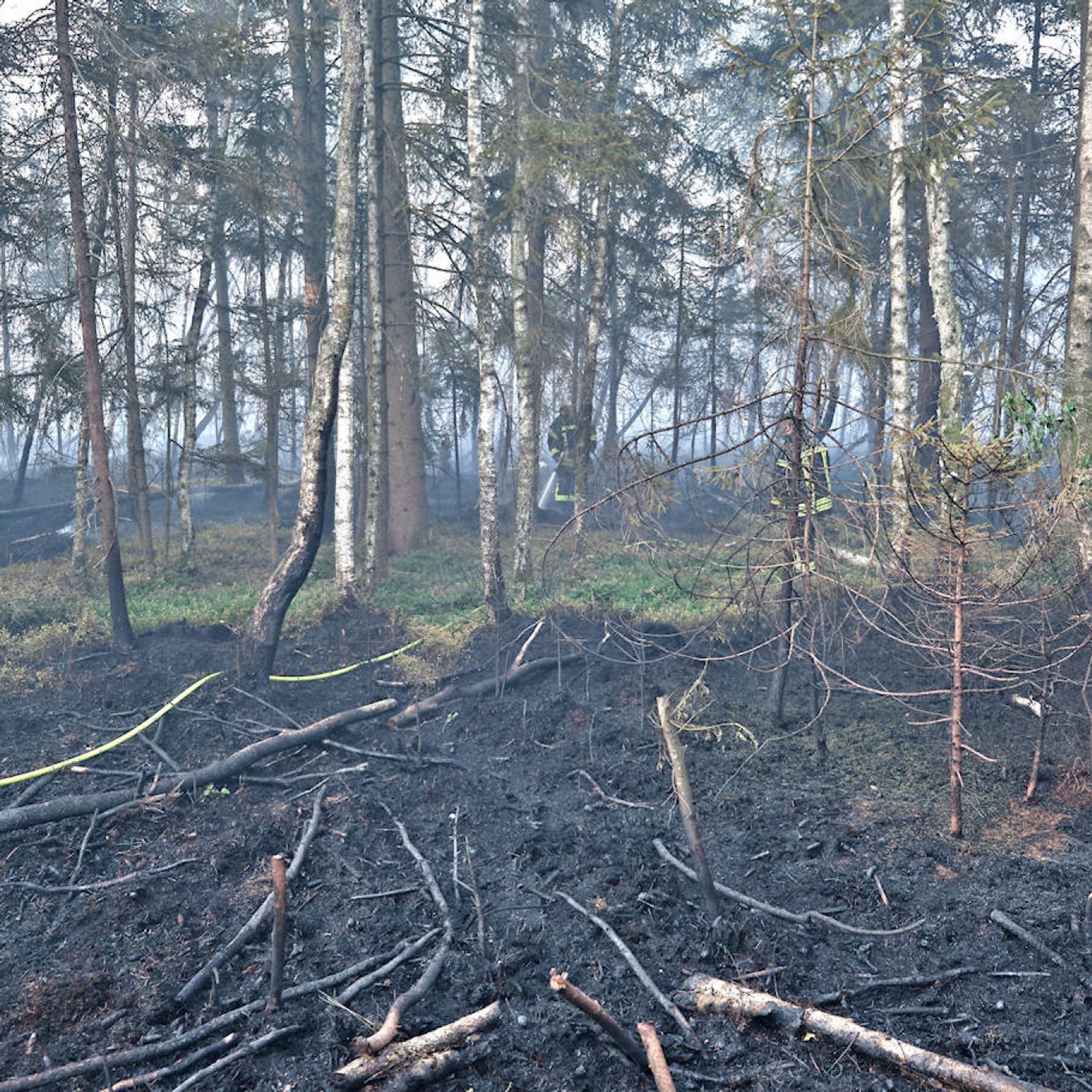 B 4 Waldbrand