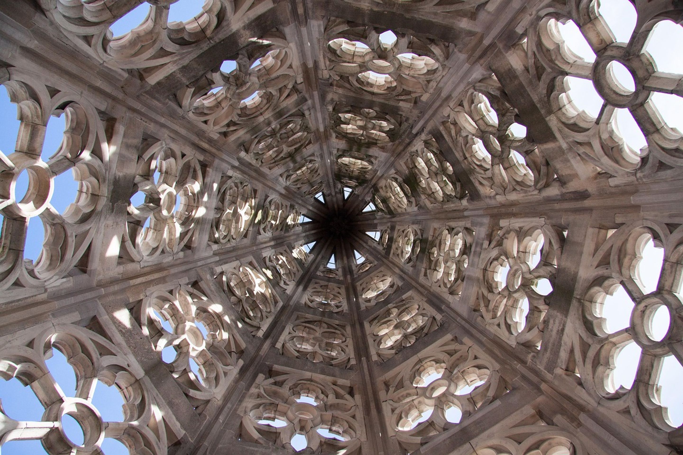 looking from the bottom up