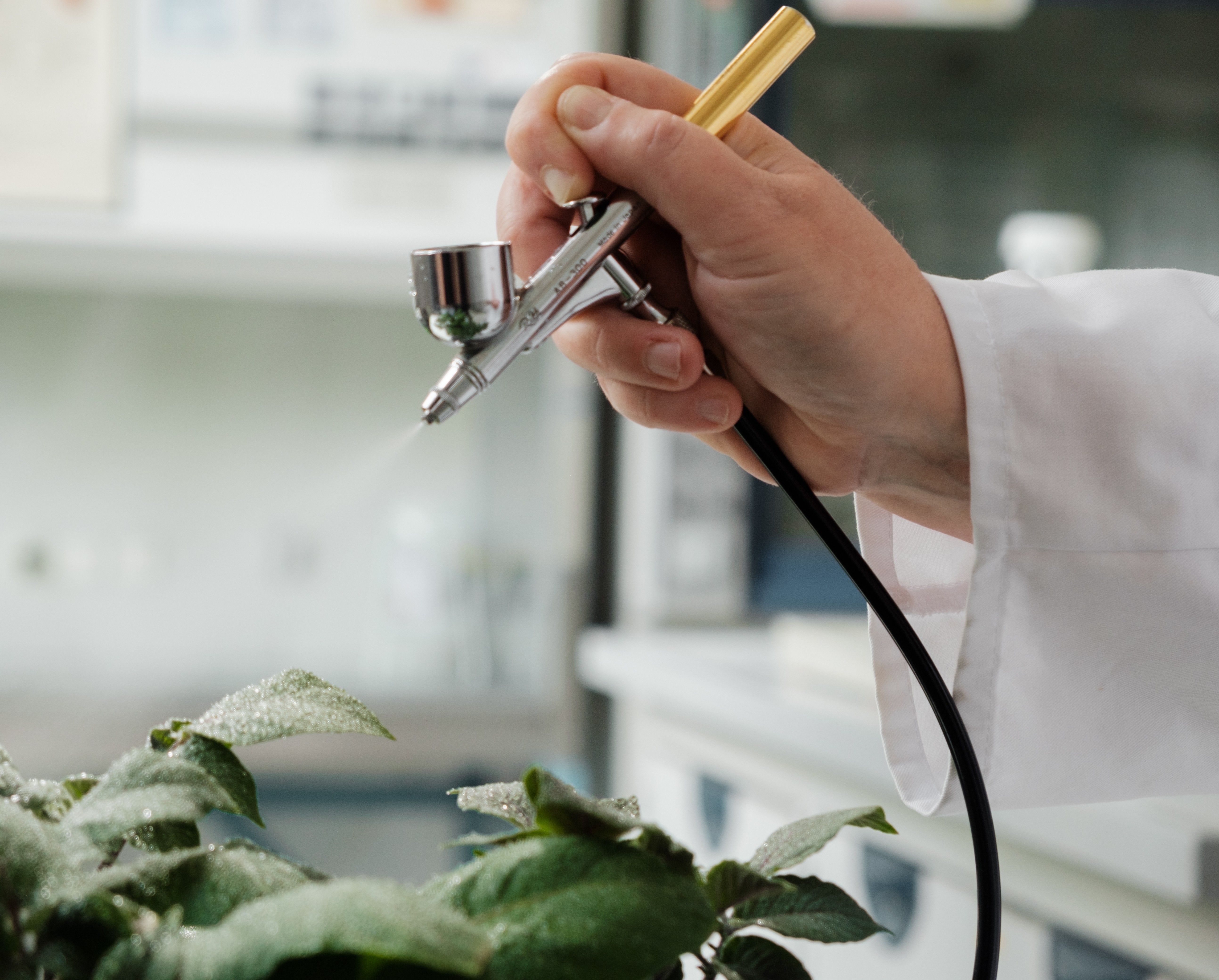 Test Alternative Text