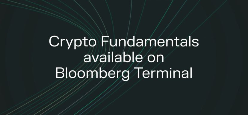 Picture of Token Terminal user interface on Bloomberg App Portal