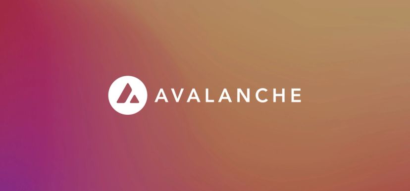 The fundamentals of Avalanche