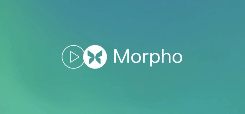 Morpho (MORPHO) - Key metrics | Dashboard | Token Terminal