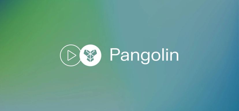 Pangolin – A multi-chain decentralized exchange