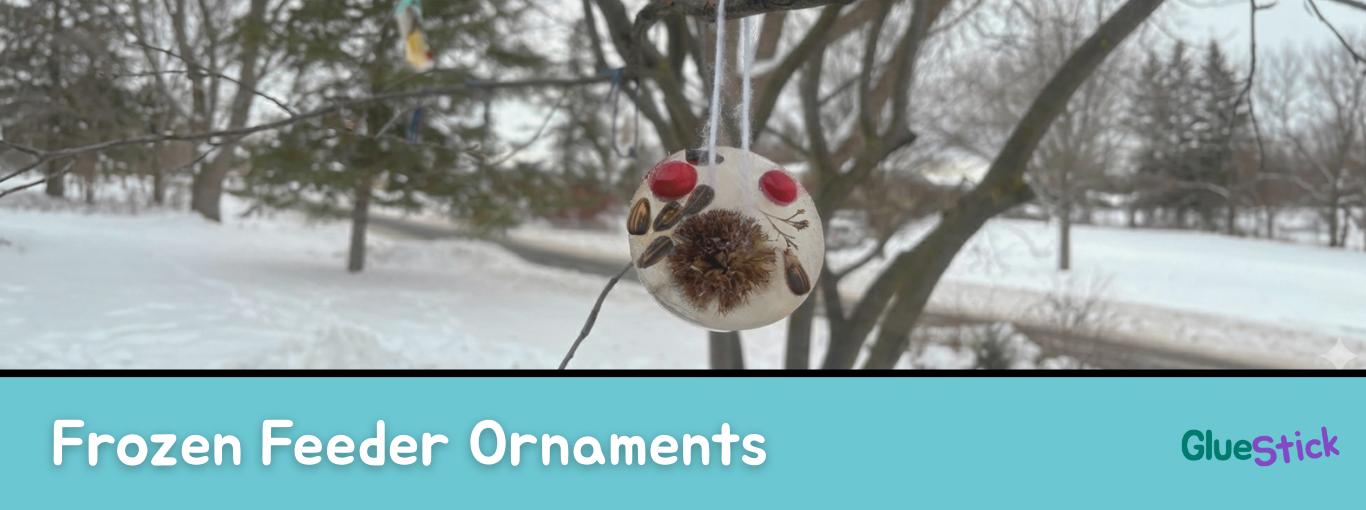 DIY Frozen Bird Feeder Ornaments for Kids (Easy Winter STEAM Project)