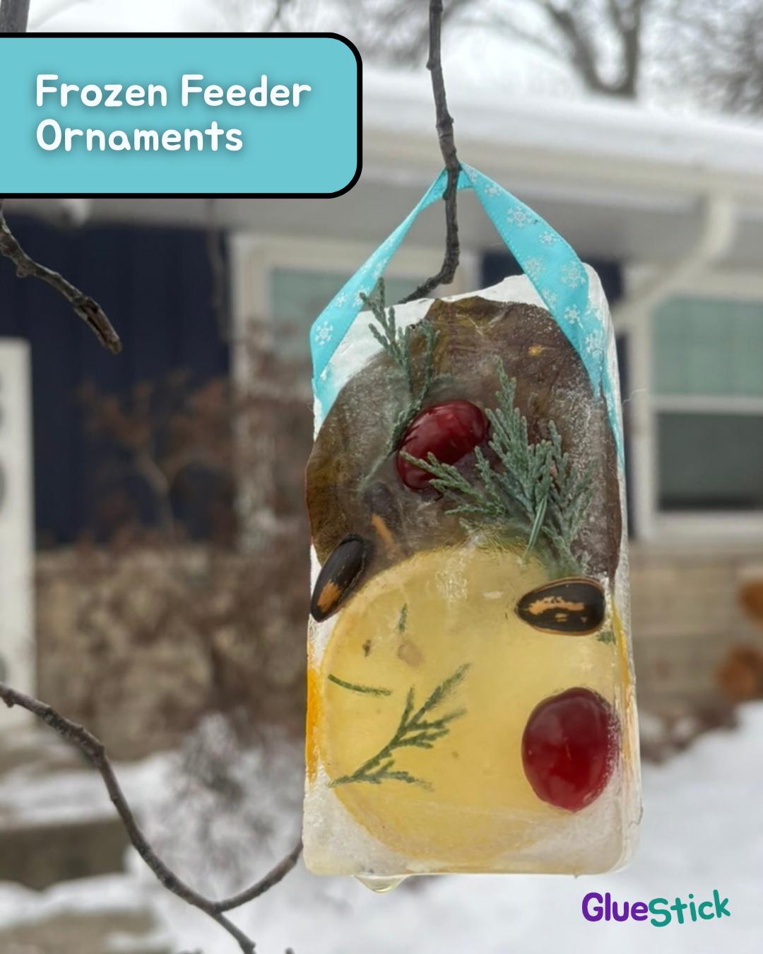 A frozen bird feeder ornament with cranberries, seeds, and citrus hanging from a tree.