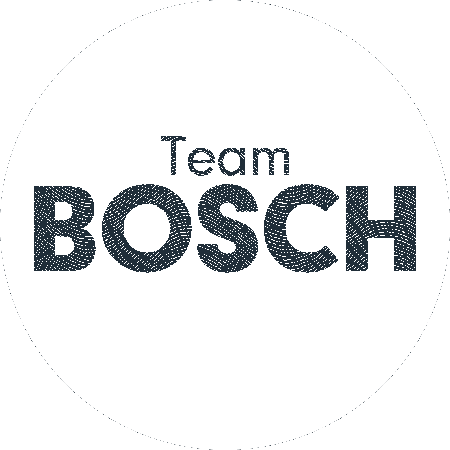 Team Bosch