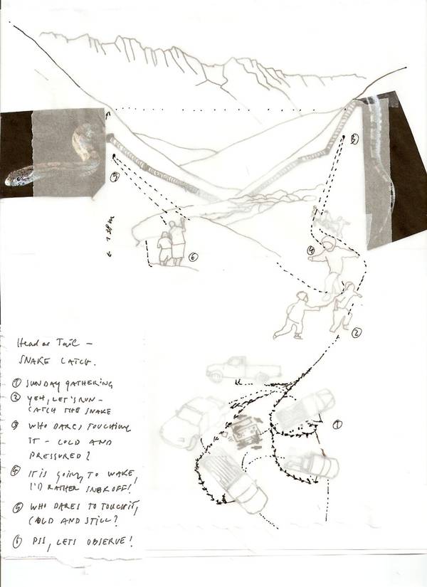 Head or Tail - Snake Catch