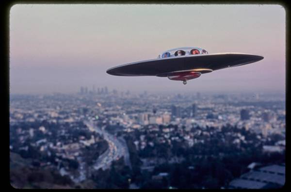 Montewood Hollyverita Still