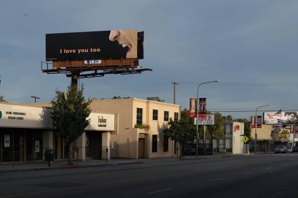 [Untitled]