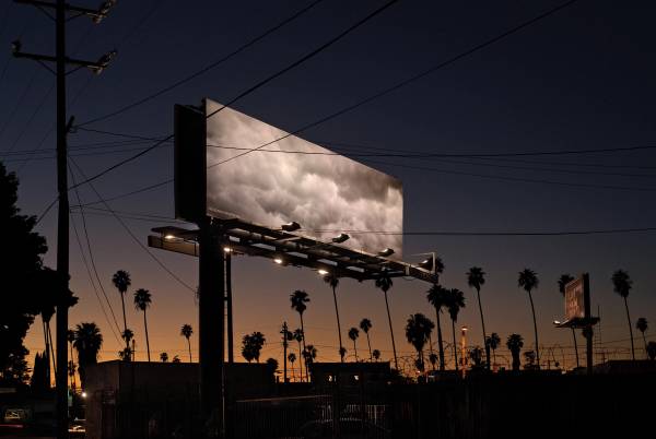 [Untitled]