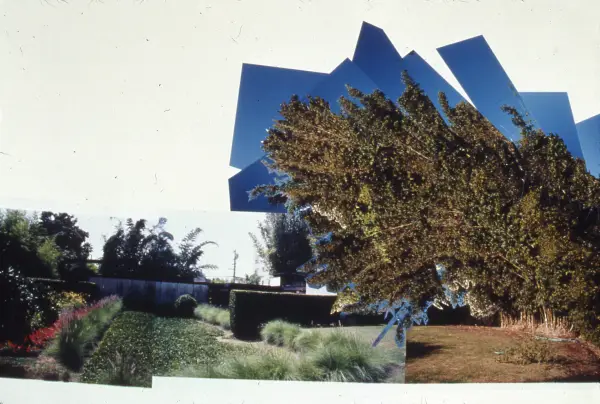 Seismic Shelter Collage