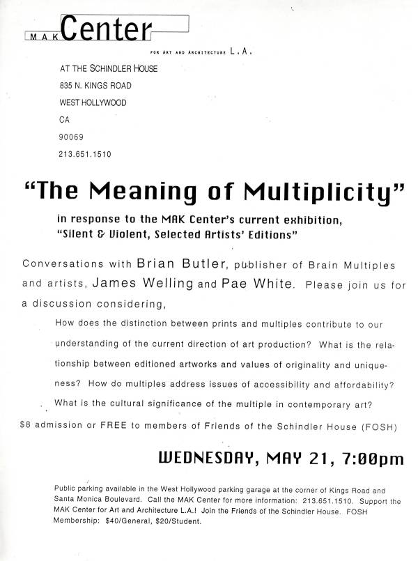 The Meaning of Multiplicity flyer