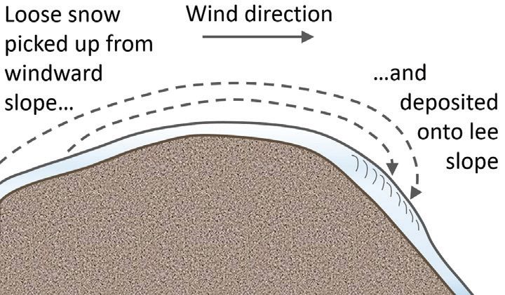 Wind slabs form as loose snow picked up by the wind is transported onto lee (downwind) slopes.