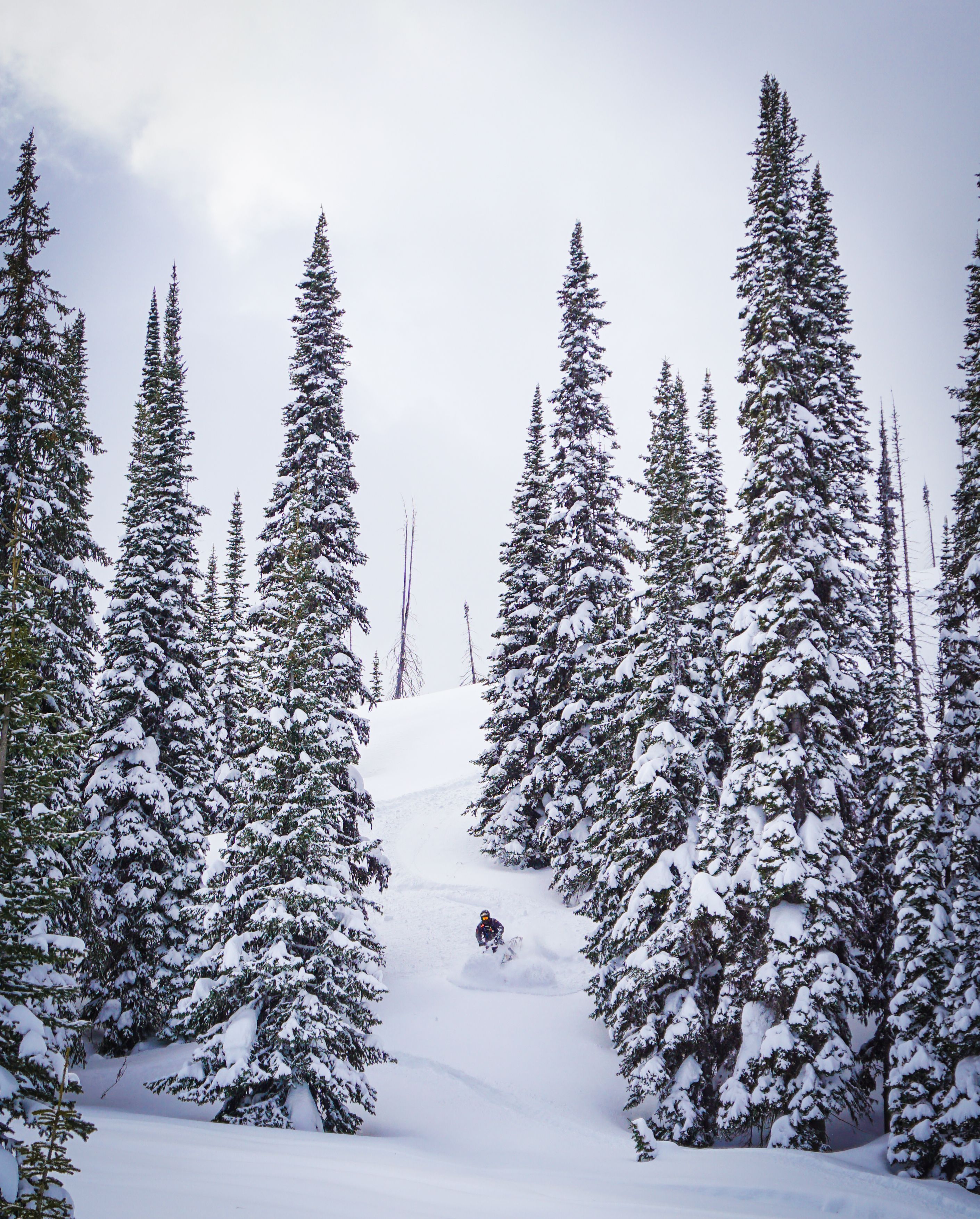 This is simple terrain at treeline.
