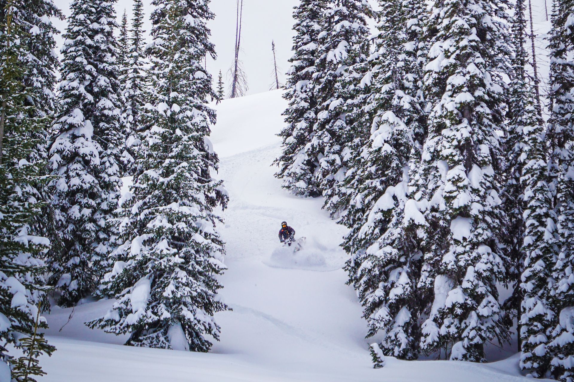 This is simple terrain at treeline.