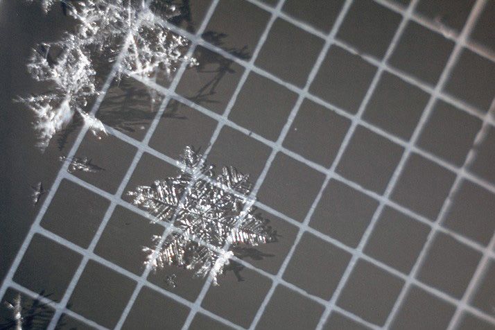 On parle ici du flocon de neige classique à six pointes que vous dessiniez lorsque vous étiez à l’école. Si ces cristaux mesurent plus de 3 mm, ils peuvent former une couche fragile. Ce type de couche fragile demeurera en place de quelques heures à quelques jours avant de se lier à la neige avoisinante.