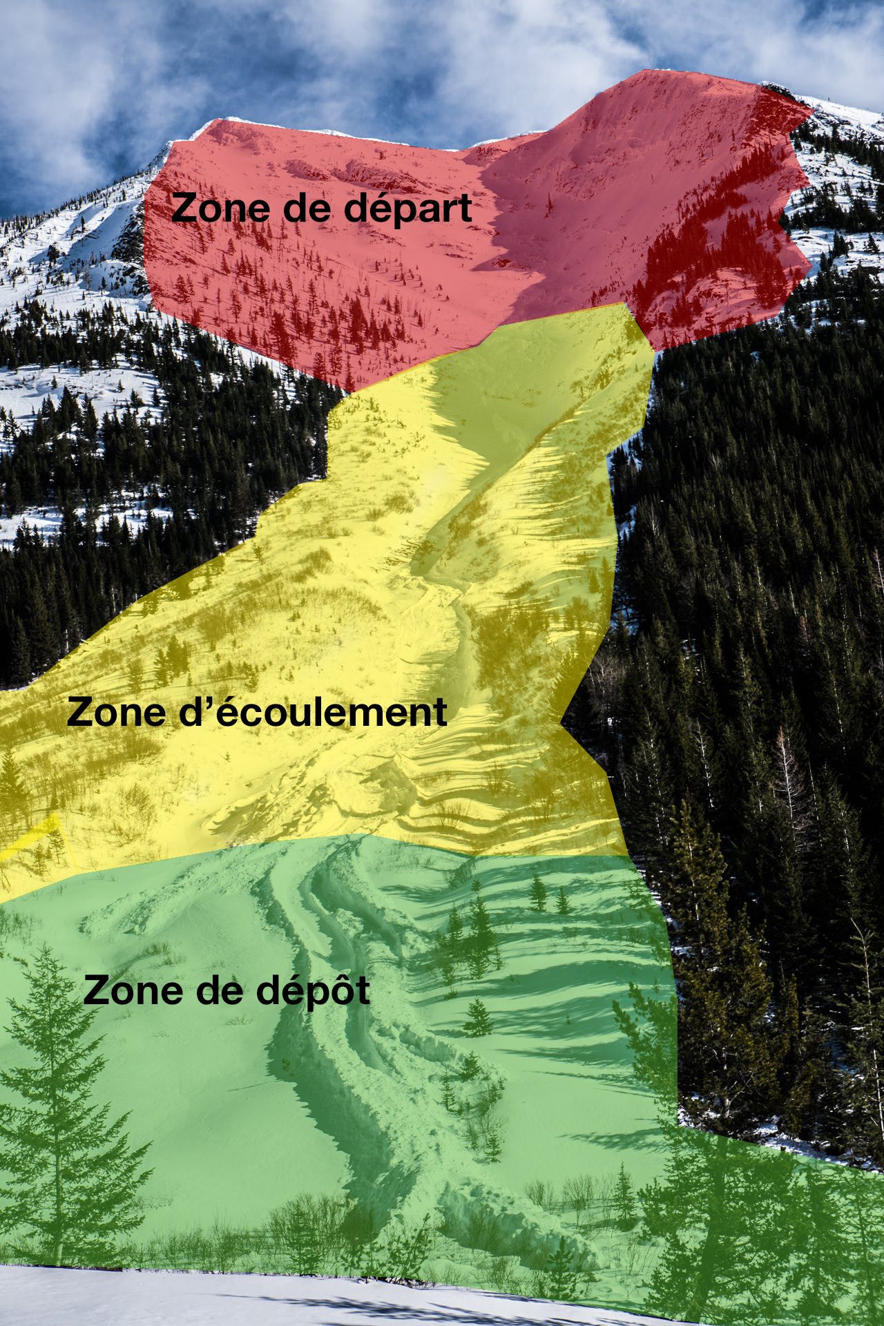 Avalanche paths, also called slide paths, are composed of three parts. The top is called the start zone, where the avalanches begin. At the bottom is the runout zone, where avalanches lose steam and come to a stop. In between, where the slide runs, is the track. This is where the avalanche hits its greatest speed.