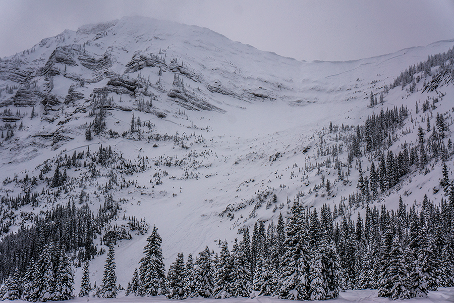 Getting caught in an avalanche here would result in all sorts of trouble. The cliff bands and small trees are terrain traps that would increase the severity of being caught.