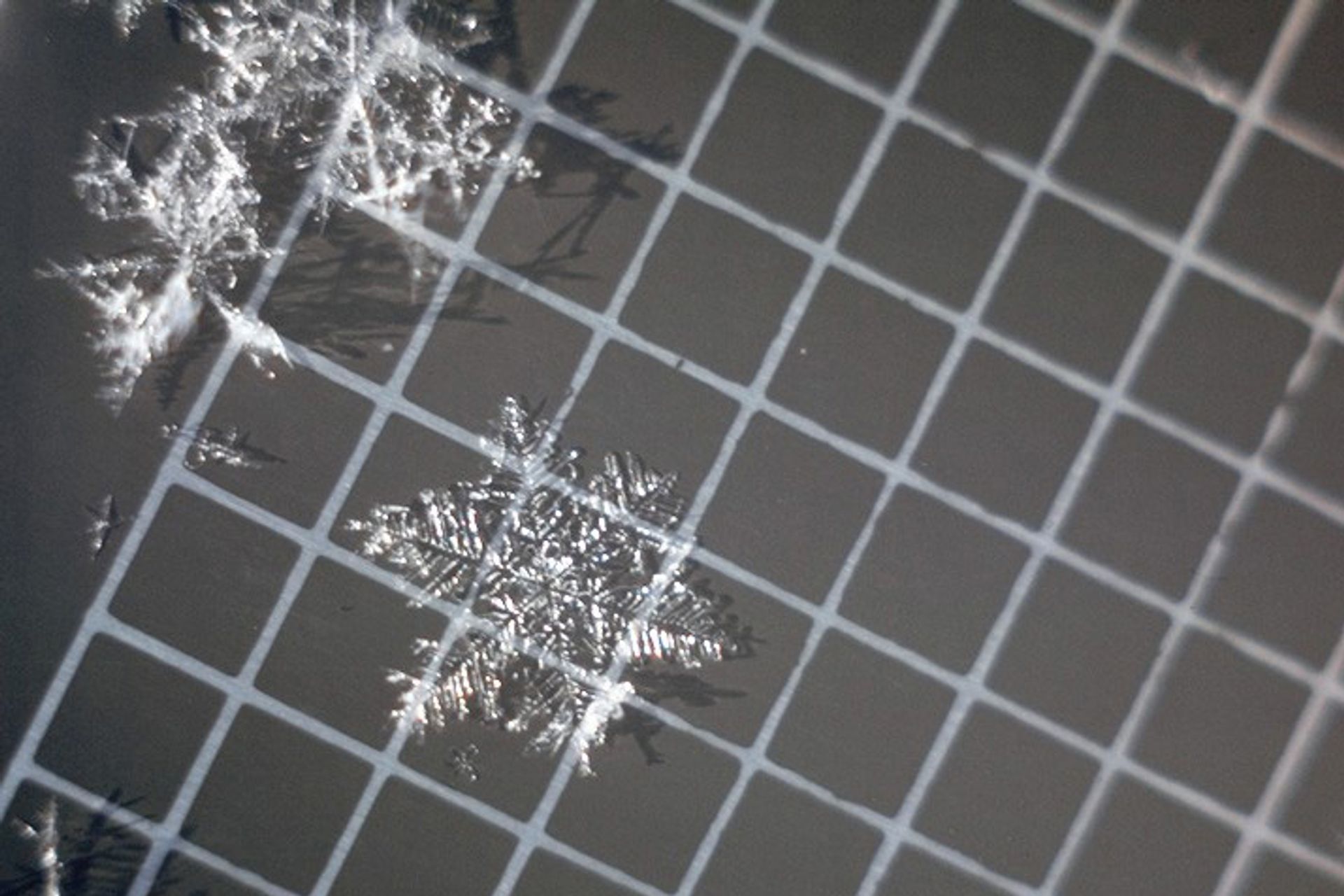 On parle ici du flocon de neige classique à six pointes que vous dessiniez lorsque vous étiez à l’école. Si ces cristaux mesurent plus de 3 mm, ils peuvent former une couche fragile. Ce type de couche fragile demeurera en place de quelques heures à quelques jours avant de se lier à la neige avoisinante.