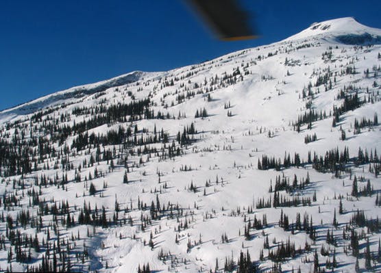 This terrain features a mix of trees and open areas.