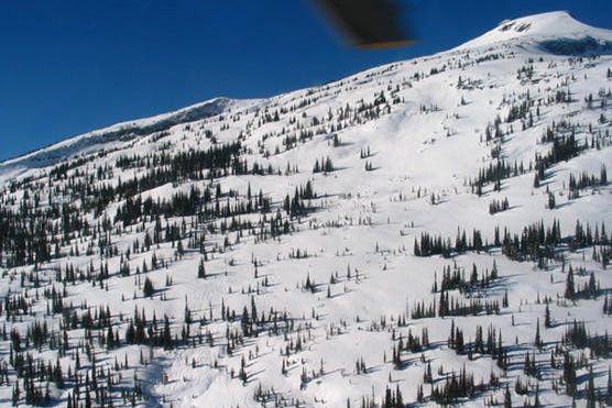 This terrain features a mix of trees and open areas.