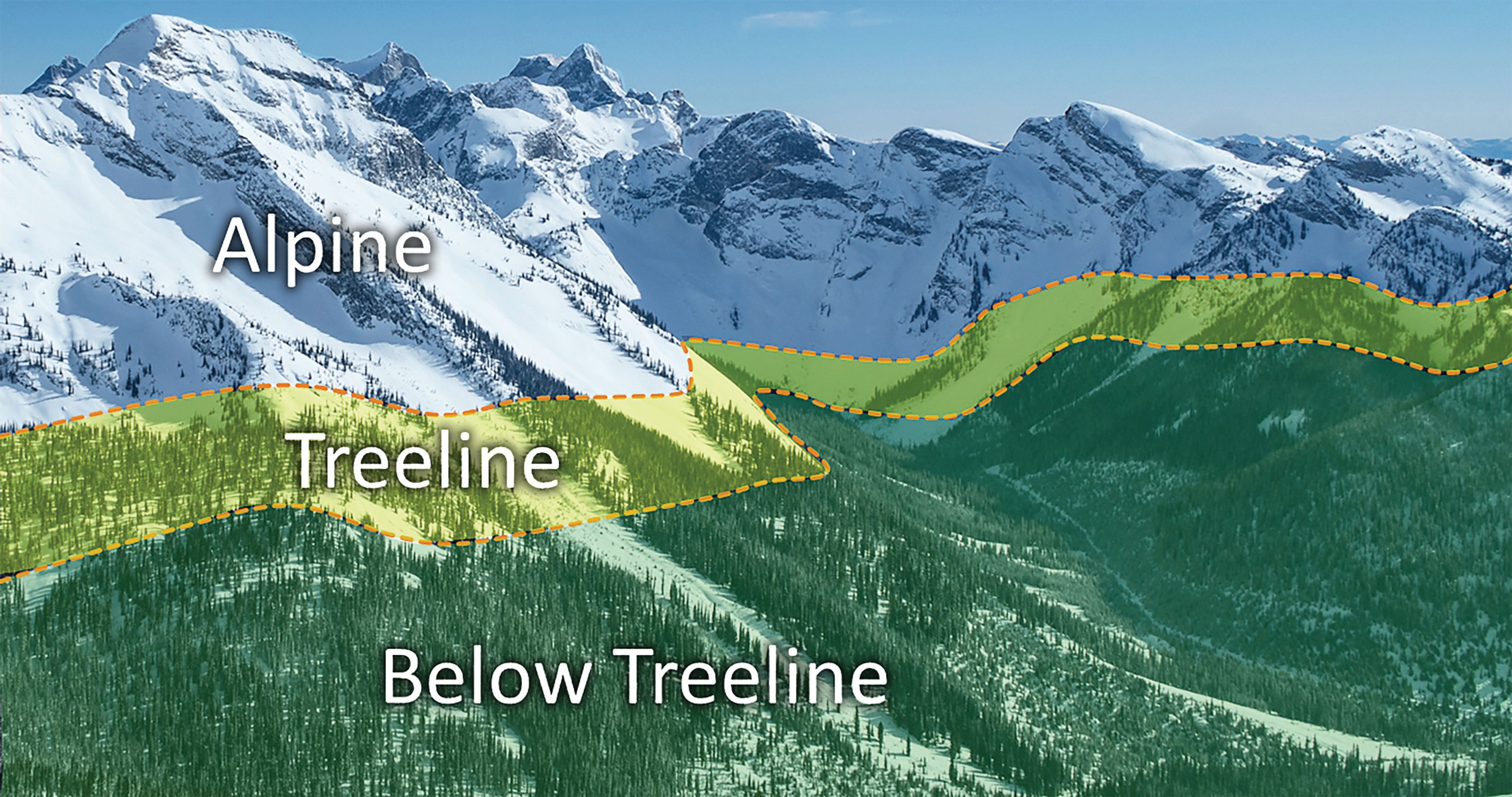 This image shows alpine, treeline, and below treeline elevation bands.