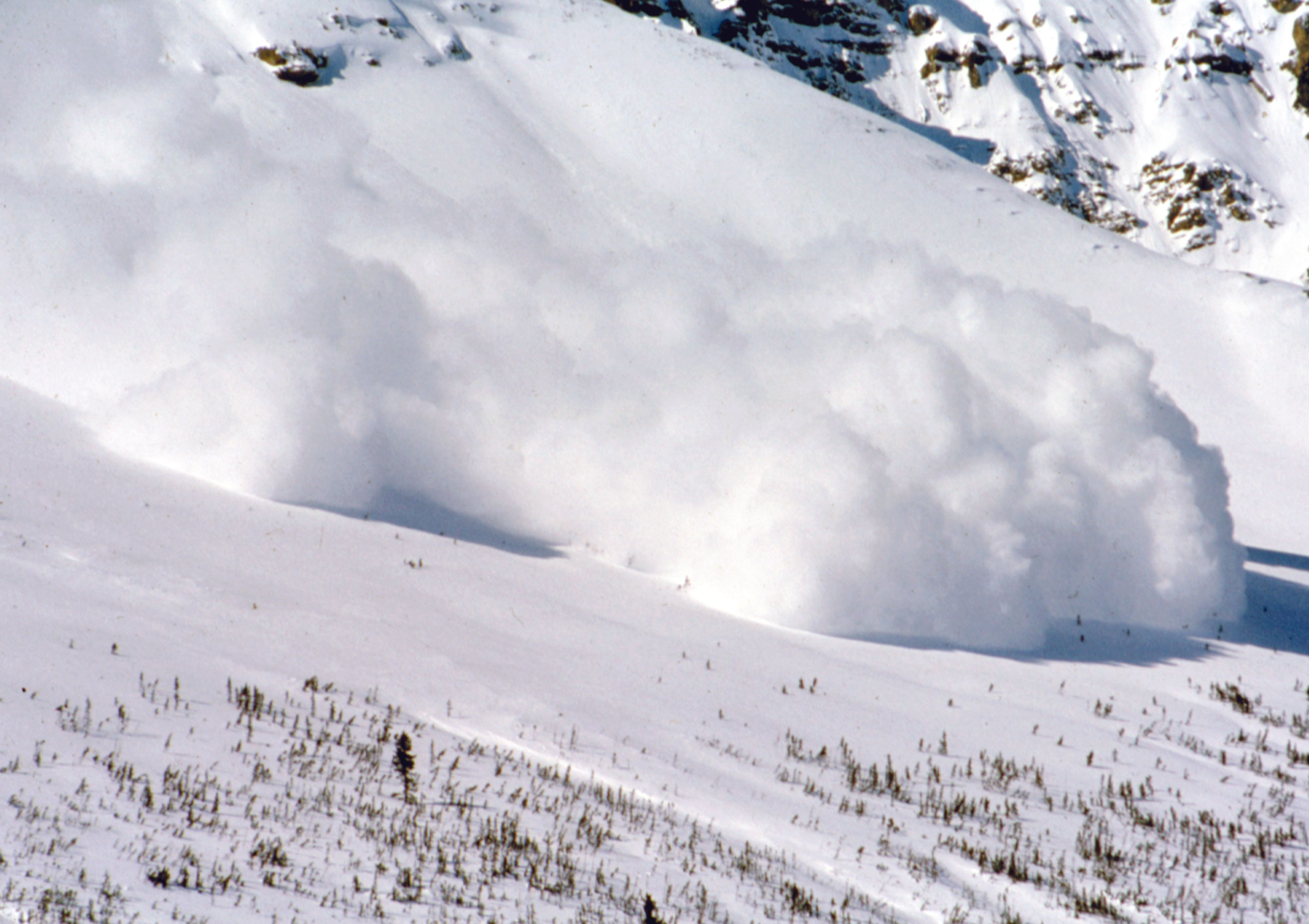 A large avalanche in the Rocky Mountains dwarfs the trees in its path.
