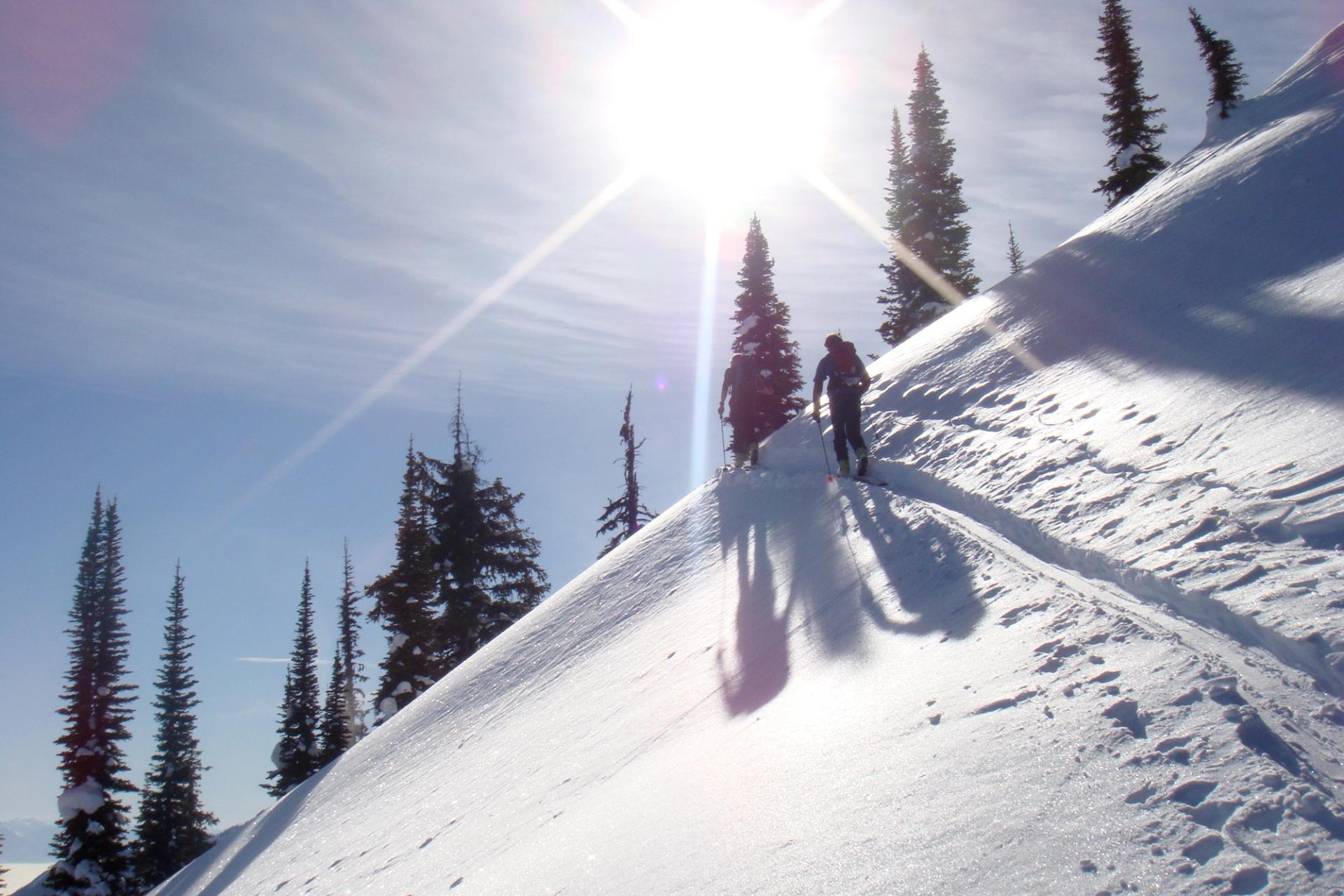 Skier walking on slope under sun