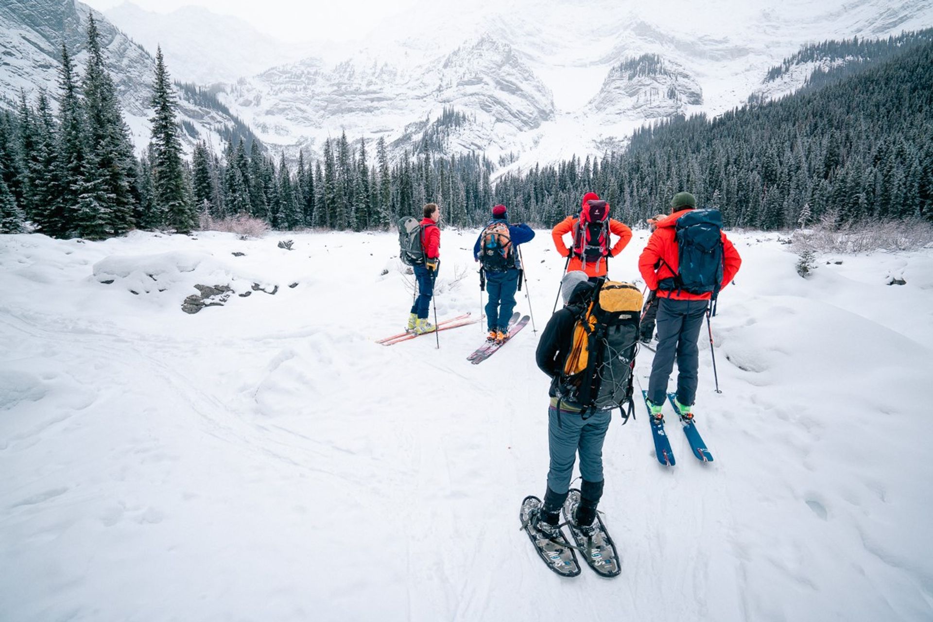 A snowshoer and some skiers stand in an open valley looking up at avalanche terrain.