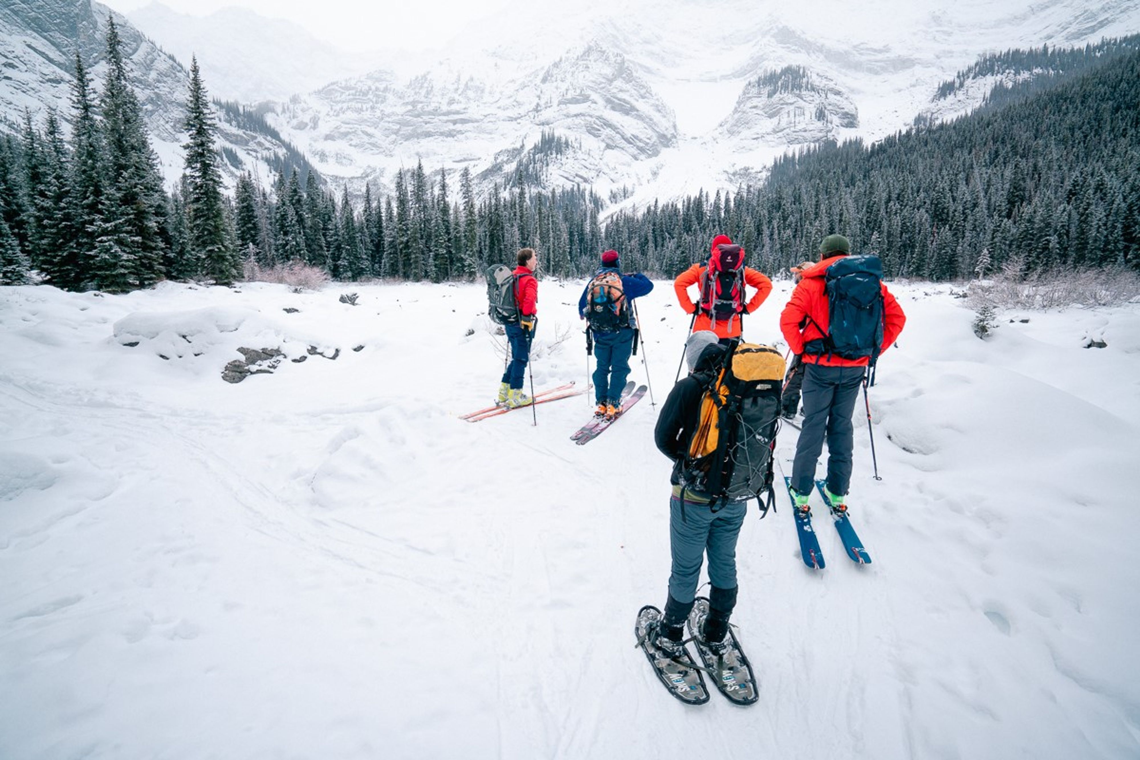 Un raquetteur et des skieurs se tiennent dans une vallée et observent le terrain avalancheux plus haut.