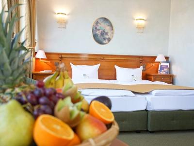 #121_HALP_Palaiszimmer_5