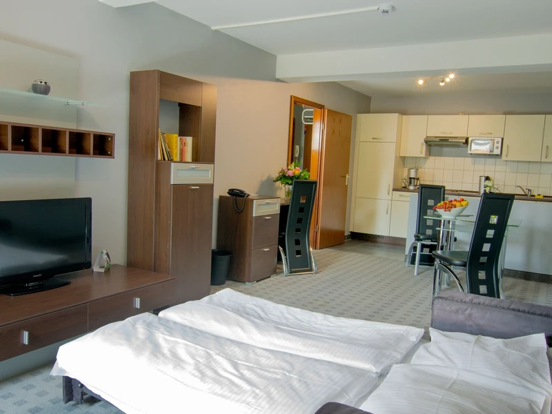 Apartment 1 Raum mit Küche