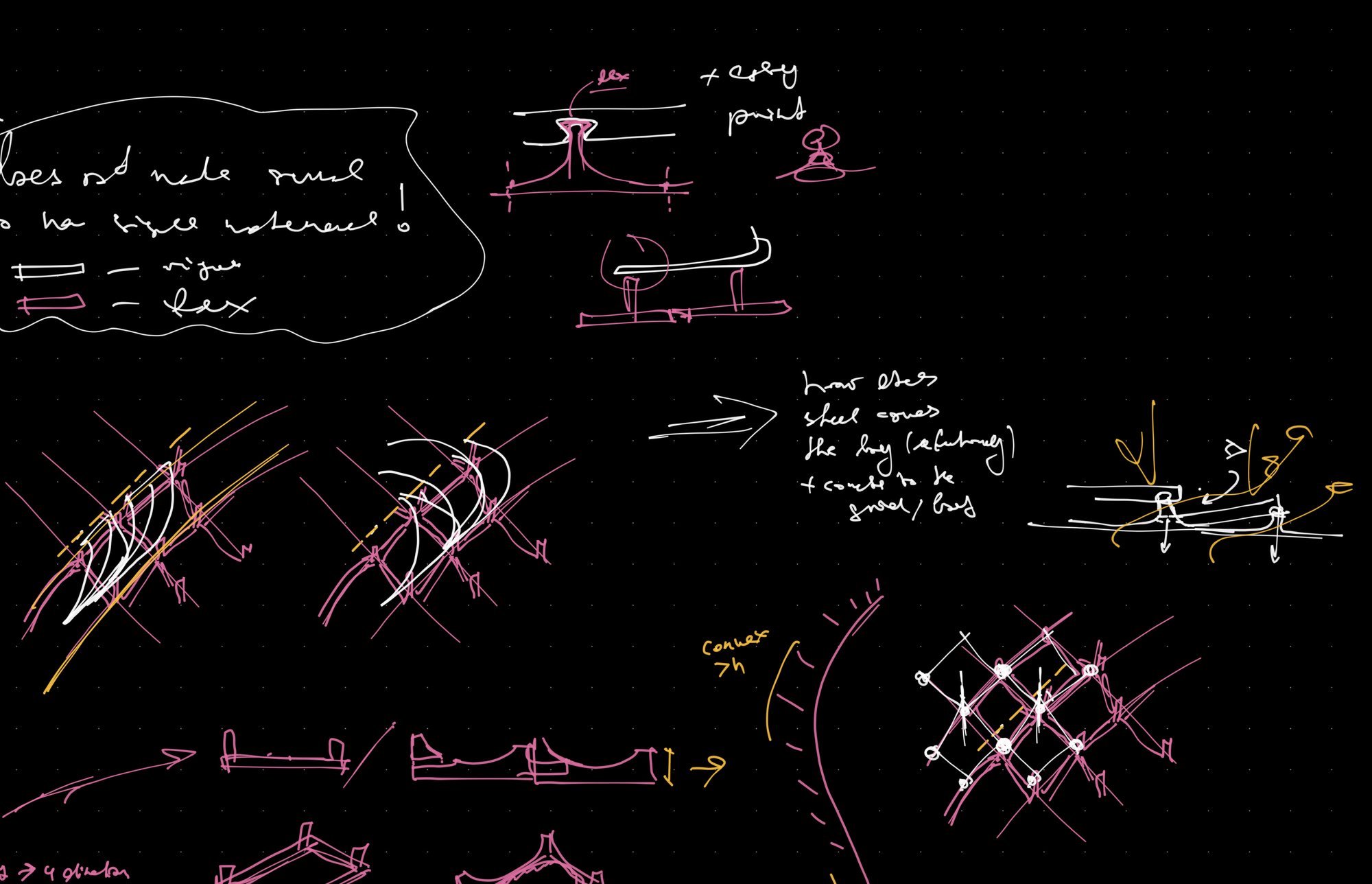 Sketch studies of the spine and lacing