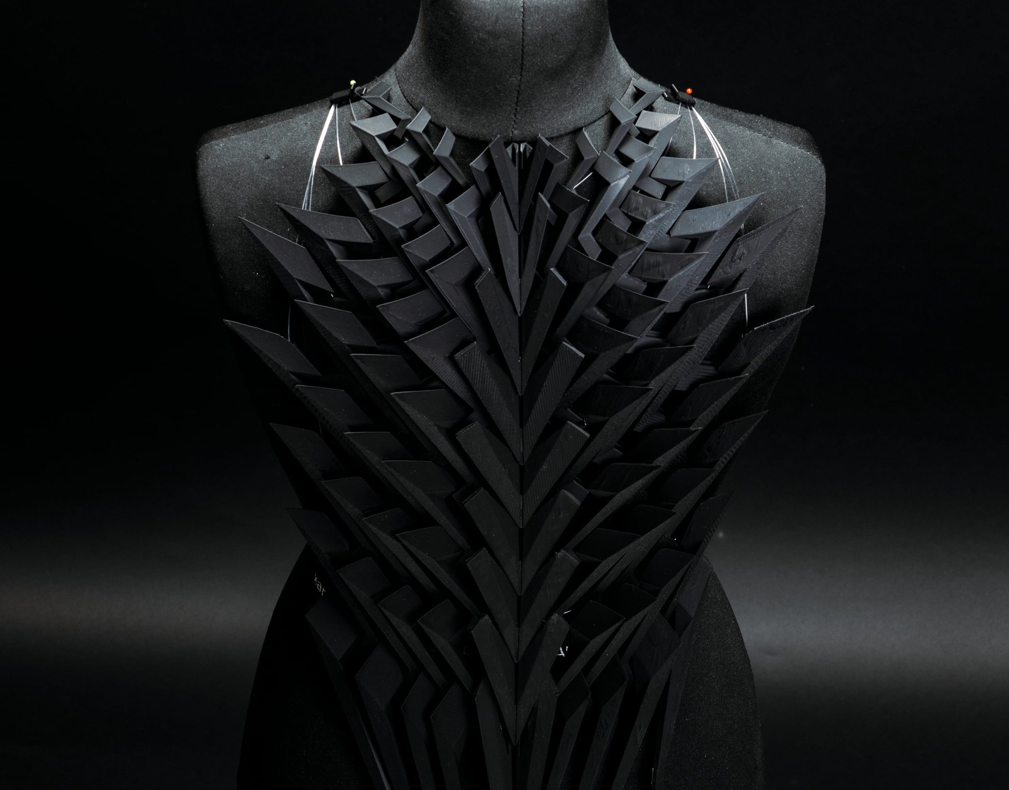 The armour seen from above