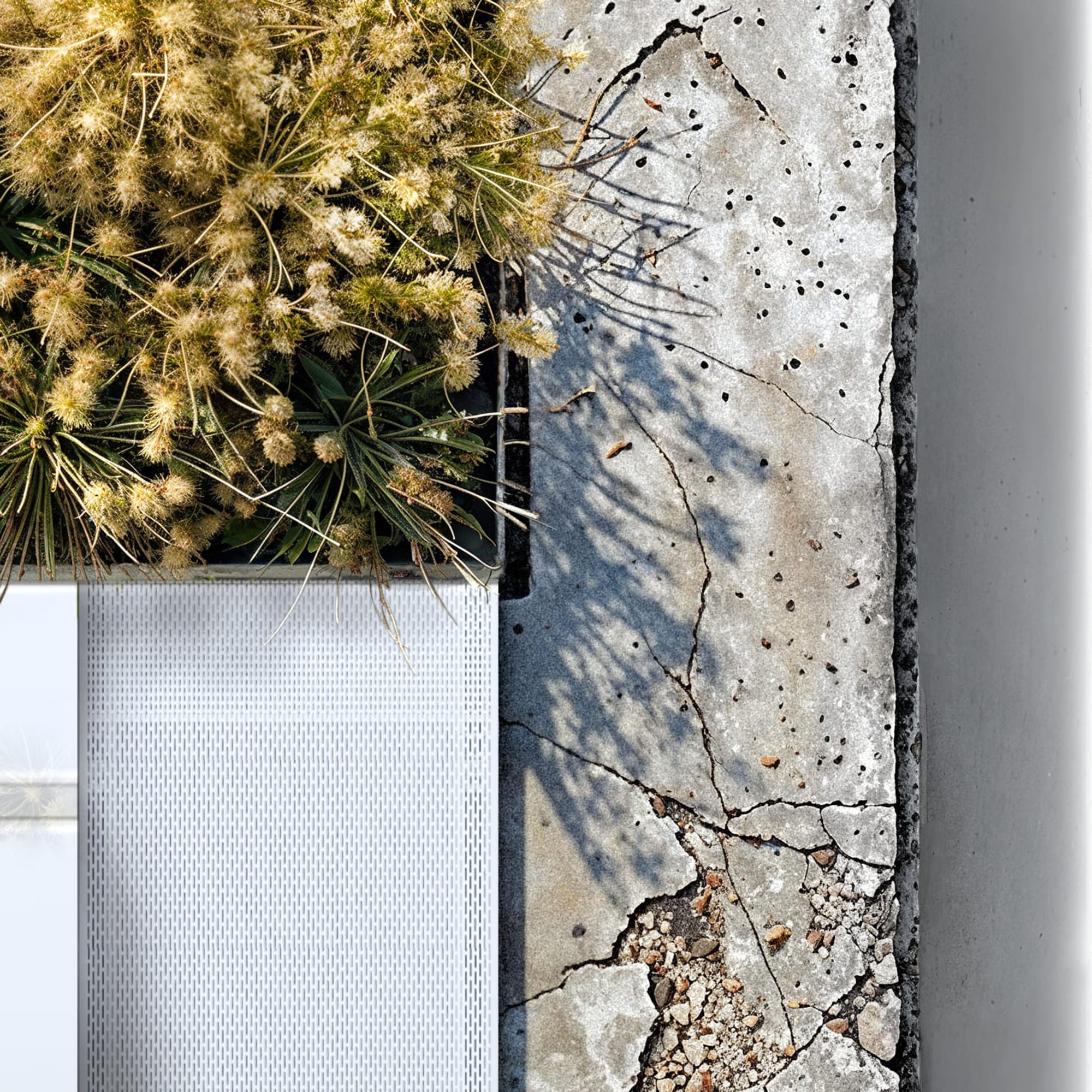 Soviet panel housing, single panel reused in public furniture, close up of decay texture vs stainless steel vs plant
